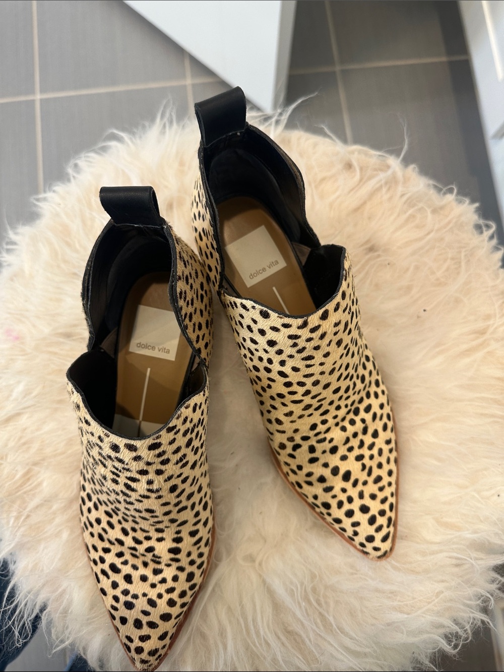 Dolce Vita Leopard-Print Pointed Booties in Black and Cream